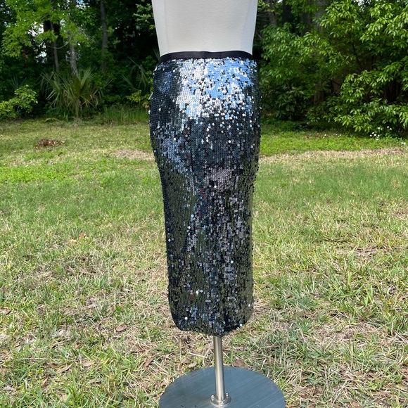 3/$30 NWT Sequin Midi Skirt - Picture 3 of 5